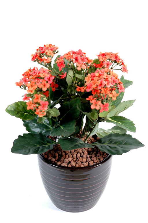 Kunstig Kalanchoe Plante På Stave 25 Cm Fersken