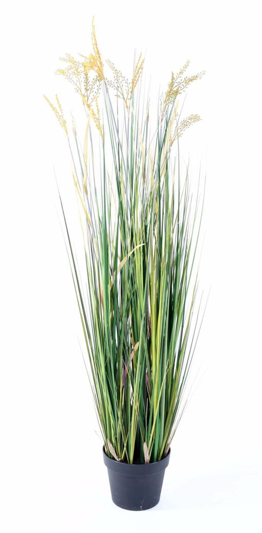 Kunstig Papyrus Plante 120 Cm I Potte