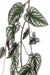 Kunstig Hængeplante Begonia Muculata 230Cm