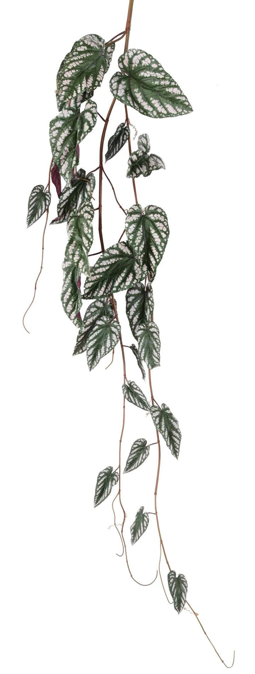 Kunstig Hængeplante Begonia Muculata 230Cm