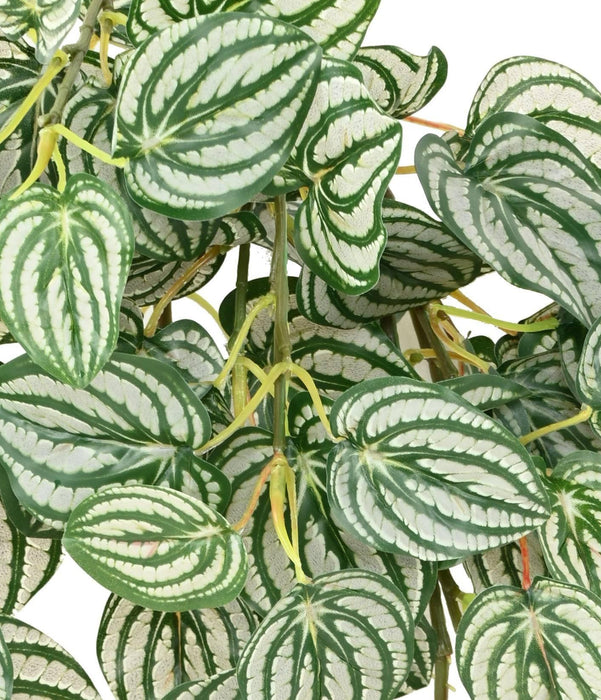 Kunstig Hængeplante Peperomia H.70 Cm