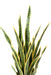 Kunstig Sansevieria Plante 85 Cm Indvendig Dekoration