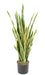 Kunstig Sansevieria Plante 85 Cm Indvendig Dekoration