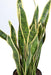 Kunstig Sansevieria Plante 93Cm Indvendig Dekoration