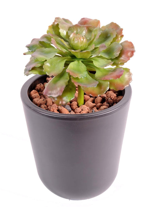Indendørs Kunstig Sukkulentplante H.19Cm