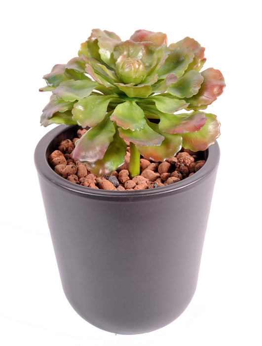Indendørs Kunstig Sukkulentplante H.19Cm