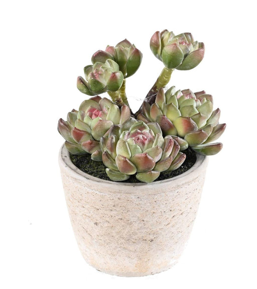 Kunstig Sukkulent Plante I Potte H.18Cm