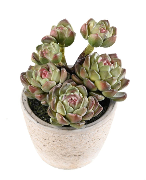 Kunstig Sukkulent Plante I Potte H.18Cm