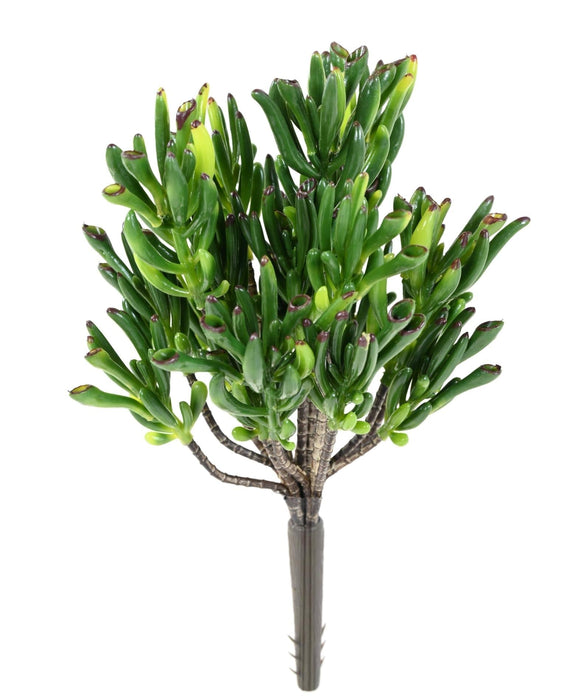 Kunstig Sukkulent Plante Til Udendørs Dekoration