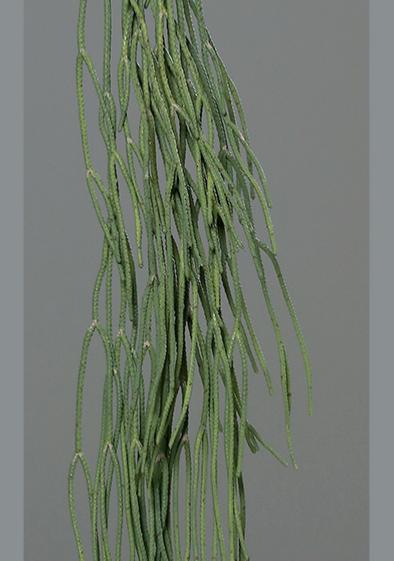 Kunstig Sukkulent Plante Hængende 62 Cm