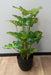 Kunstig Syngonium Plante I Potte 50 Cm Grøn