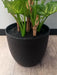 Kunstig Syngonium Plante I Potte 50 Cm Grøn