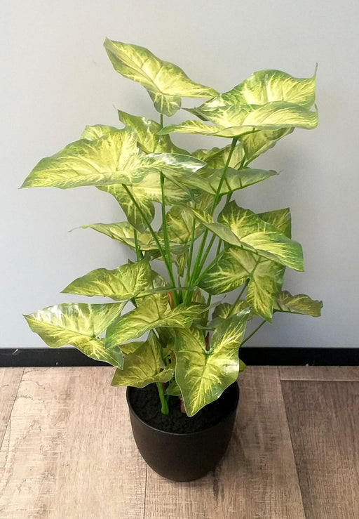 Kunstig Syngonium Plante I Potte 50Cm Lysegrøn