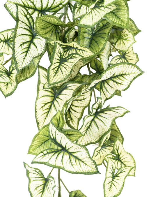Kunstig Syngonium Plante H.60Cm Indvendig Dekoration