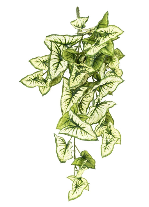 Kunstig Syngonium Plante H.60Cm Indvendig Dekoration