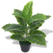 Kunstig Taro Plante Med Potte 45 Cm Grøn