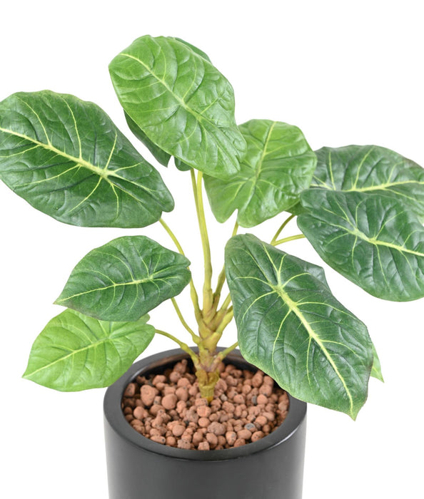 Kunstig Grøn Plante Alocasia 10 Blade 50Cm