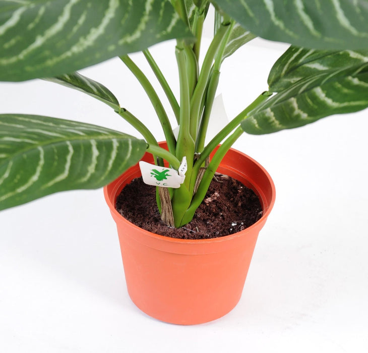 Kunstig Xanthosoma Plante I Potte 45Cm