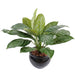 Kunstig Xanthosoma Plante I Potte 45Cm