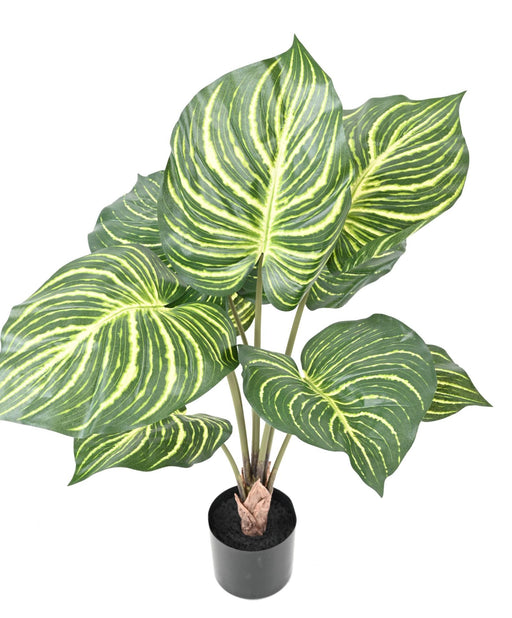 Kunstig Zebra Plante H.70Cm I Sort Potte