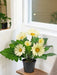 Kunstig Plante Hvid Gerbera