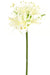 Kunstig Plante Hvid Nerine