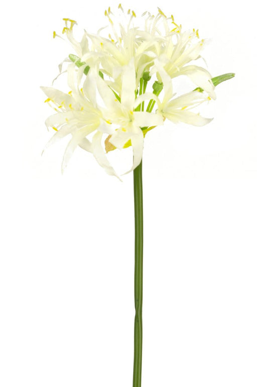 Kunstig Plante Hvid Nerine