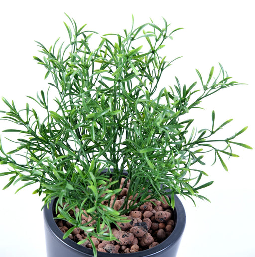 Kunstig Plante Leptospermum 37 Cm Til Indendørs Udendørs