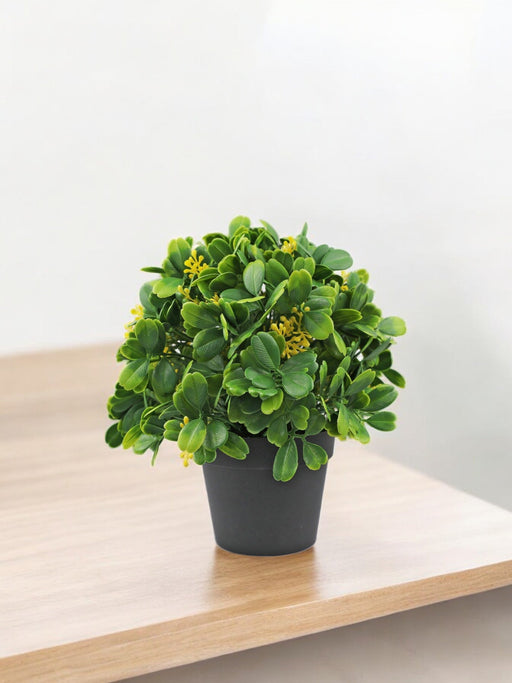 Kunstig Udendørs Plante I Potte