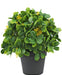 Kunstig Udendørs Plante I Potte