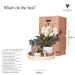 Plantenset Slow Living - Phalaenopsis Lausanne Og Sukkulenter
