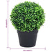 Kunstige Buksbomplanter 2 Stk Med Grønne Kuglepotter 32 Cm