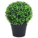 Kunstige Buksbomplanter 2 Stk Med Grønne Kuglepotter 32 Cm