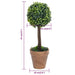 Kunstige Buksbomplanter 2 Stk Med Grønne Kuglepotter 33 Cm