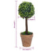 Kunstige Buksbomplanter 2 Stk Med Grønne Kuglepotter 56 Cm