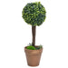 Kunstige Buksbomplanter 2 Stk Med Grønne Kuglepotter 56 Cm