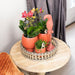 Scandic Terracotta Planter På Træfad Med Orkidé Og Sukkulenter
