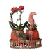 Scandic Terracotta Planter På Træfad Med Orkidé Og Sukkulenter