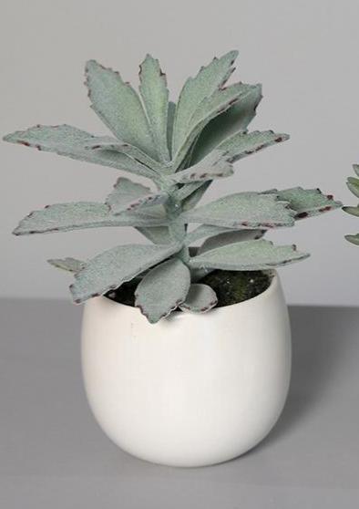 Kunstige Sukkulente Planter I Hvid Keramisk Potte