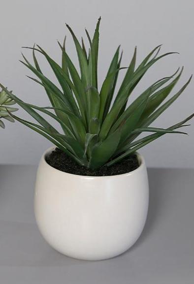 Kunstige Sukkulente Planter I Hvid Keramisk Potte