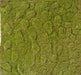 Kunstig Mosplade 50X50Cm Vægdekoration