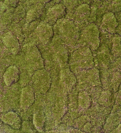 Kunstig Mosplade 50X50Cm Vægdekoration