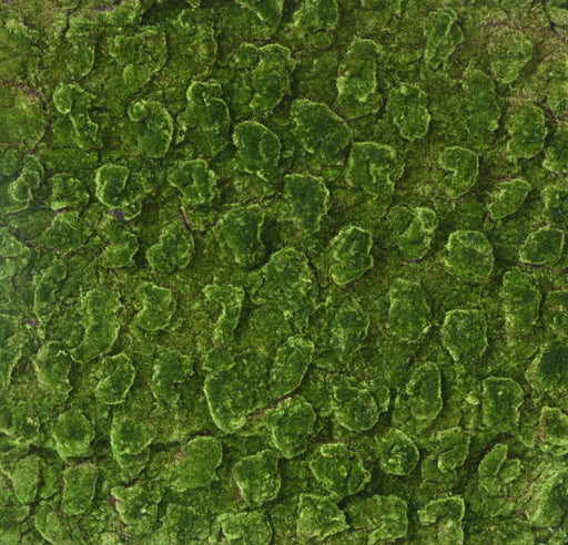 Kunstig Mosplade Vægdekoration 100X100Cm