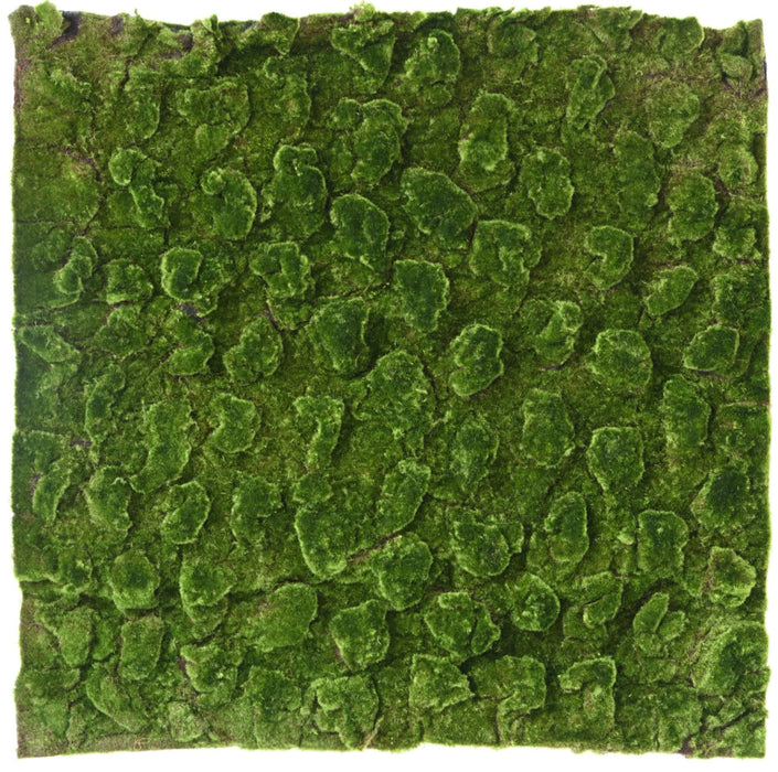Kunstig Mosplade Vægdekoration 100X100Cm