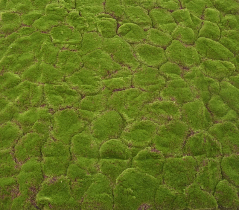 Kunstig Mos Vægplade 103X103Cm Grøn