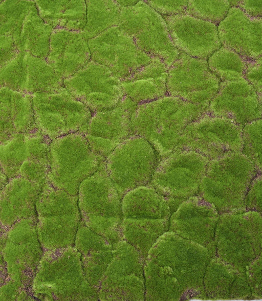 Kunstig Mos Vægplade 103X103Cm Grøn