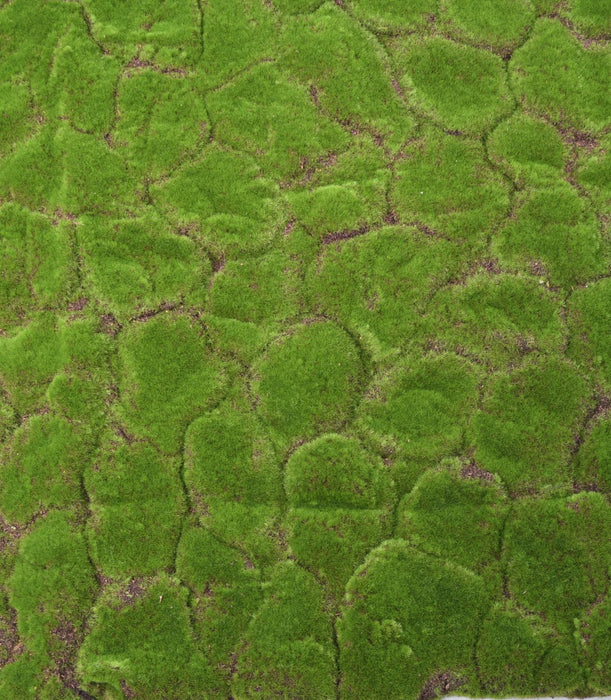 Kunstig Mos Vægplade 103X103Cm Grøn