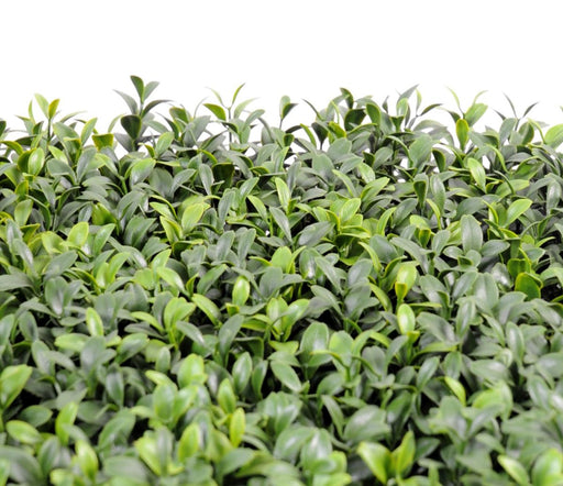 Kunstig Buksbom Planteplade 25Cm UV Resistent