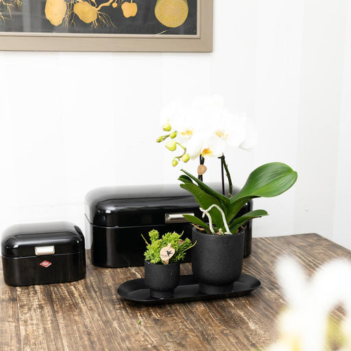 Sort Oval Plantebakke