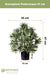 Podocarpus - Kunstig Grøn Plante